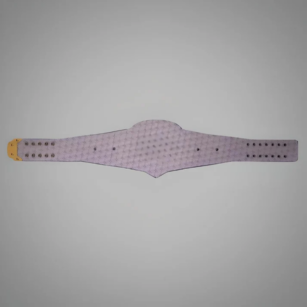 Atlanta Braves WWE MLB Legacy Belt - Championship Title