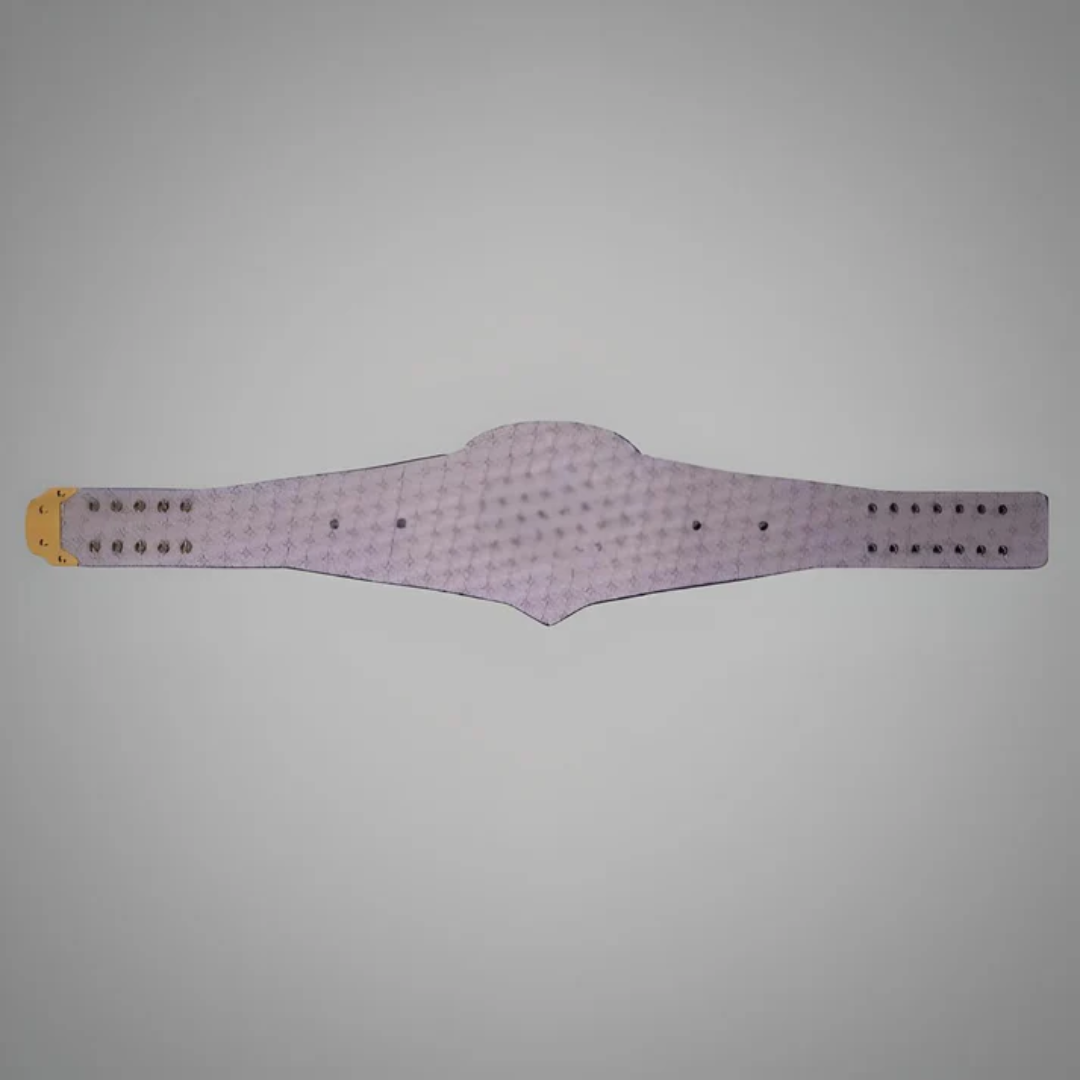 Atlanta Braves WWE MLB Legacy Belt - Championship Title