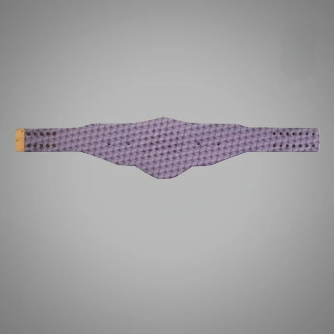 Colorado Rockies WWE MLB Legacy Belt - Championship Title