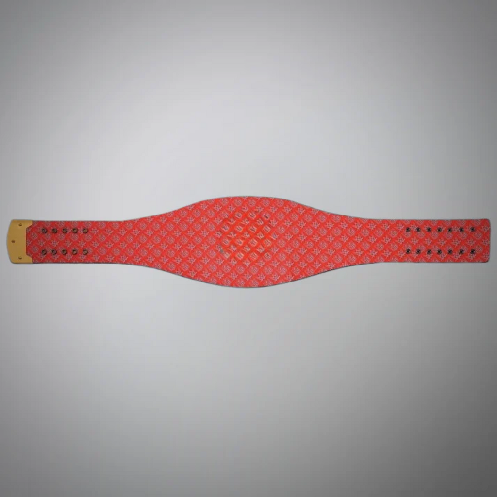 Chicago Bears Championship Belt - WWE NFL Special Edition