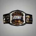 AEW Tag Team Championship Replica Belt - 2mm Customizable