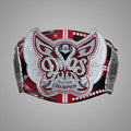 Bella's Twins WWE championship belt, collectible edition.